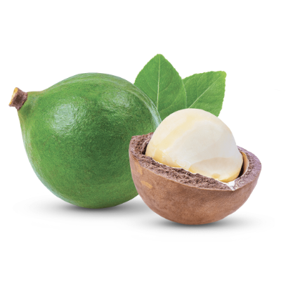 monchiero-Macadamia-Fruit-1 Recolección rápida y precisa